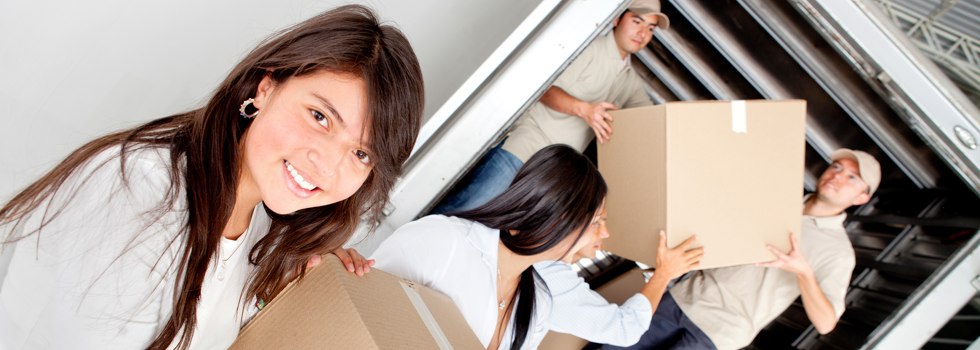 Professional Removalists Grenville